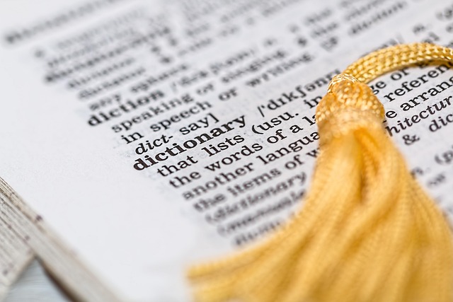 translation, language tools, grammar checkers, writing assistant