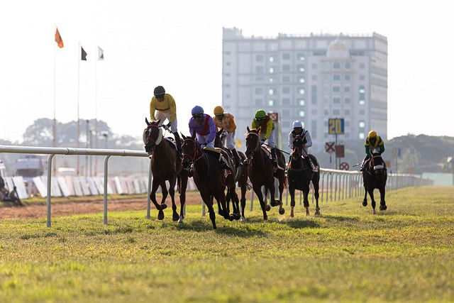 horse racing, Caymanas Park, Mouttet Mile, Atomica