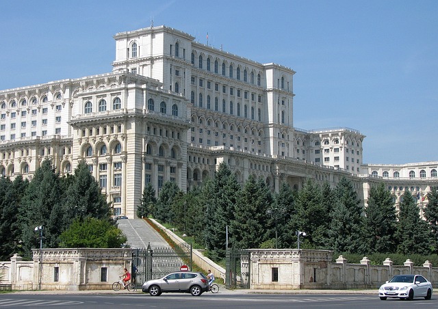 government services, public administration, auditing, procurement