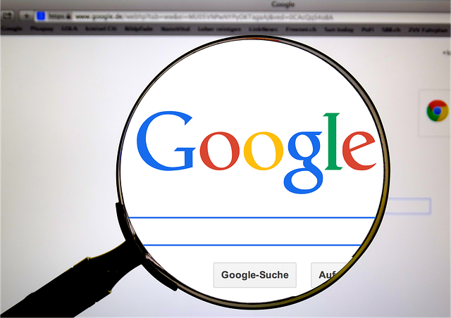 privacy, SearXNG, API, search engine
