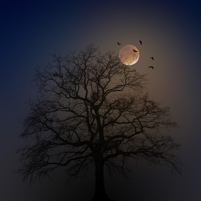 wildlife, spectral bat, carnivorous bats, bat species