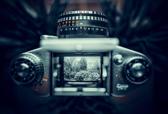 film analysis, Norton reader, critical film terms, writing guide