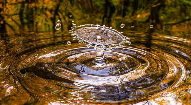 self-care, symptoms, fluid retention, oedema