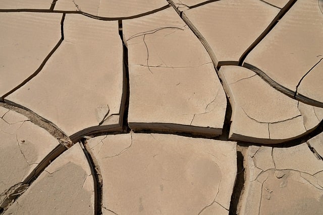 soil erosion, vegetation, erosion control, land management