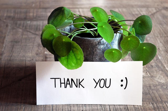job interview, thank you email, follow-up, professional communication