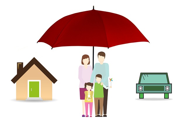risk management, corporate governance, Directors insurance, liability coverage