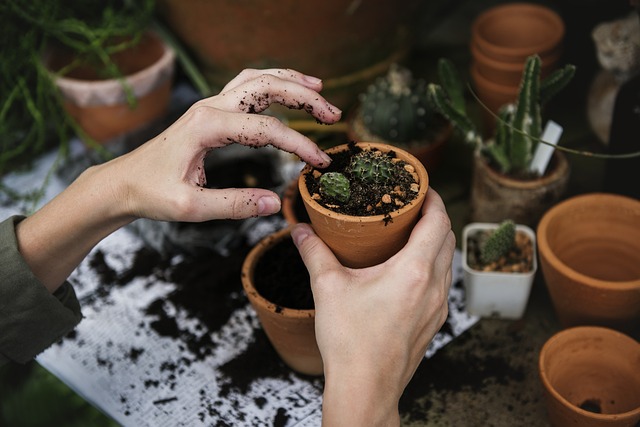 easy vegetables, container gardening, pot gardening, urban gardening