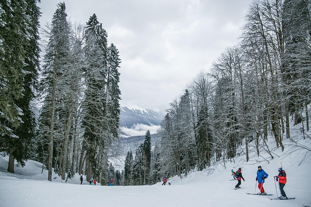 winter sports, performance, skiing, Fischer