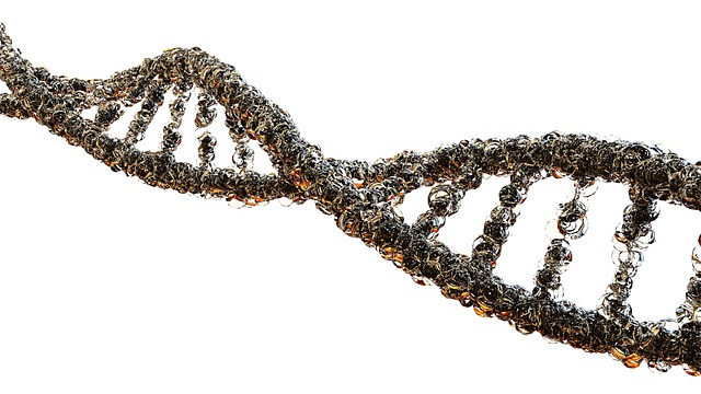 genetics, genetic disorders, Boston Children’s, genetic counseling