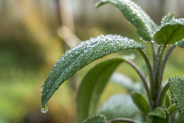 બાંધકામ, ઘર બનાવવું, ખર્ચ, સામગ્રી