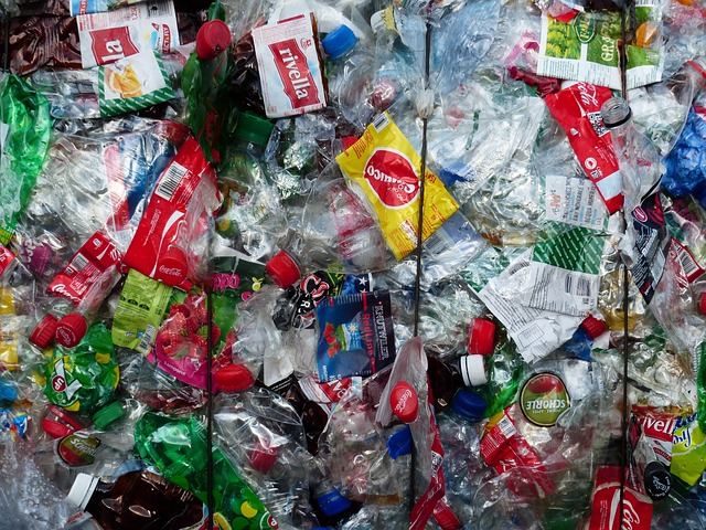 environmental impact, health risks, chemical leaching, plastic bottles