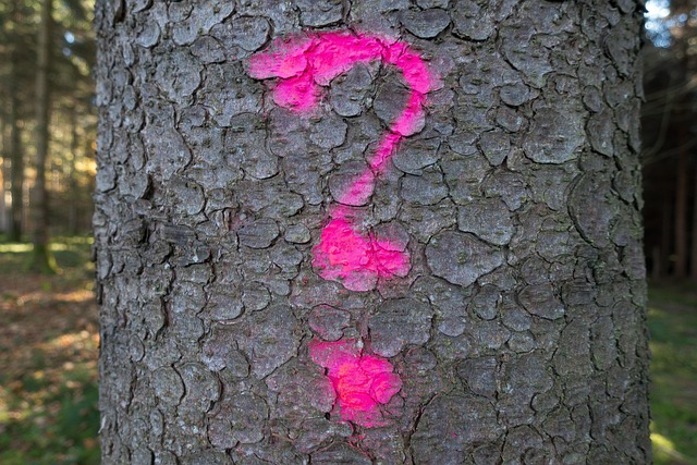 Introducing Lady Araminta Bridgerton