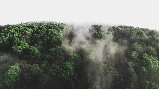 health, environmental impact, water scarcity, clean water