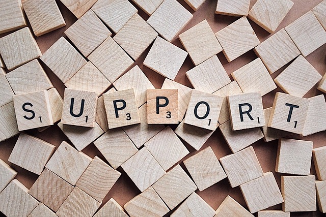 education, MTSS, support tiers, intervention
