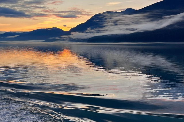 adventure, wildlife, cruise, Alaska