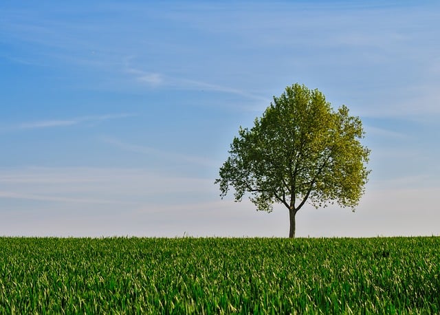 public health, hazardous substances, interim action, environmental safety