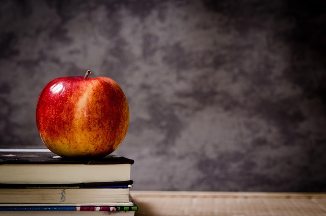 teacher certification, education programs, teaching skills, fieldwork experience