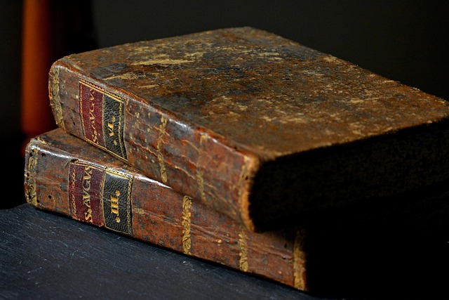 authors, 2026, conference, American literature
