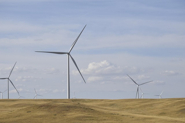 sustainable practices, responsible tourism, eco-friendly travel, conservation efforts