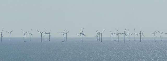 climate change, environmental impact, glaciers, sea level rise