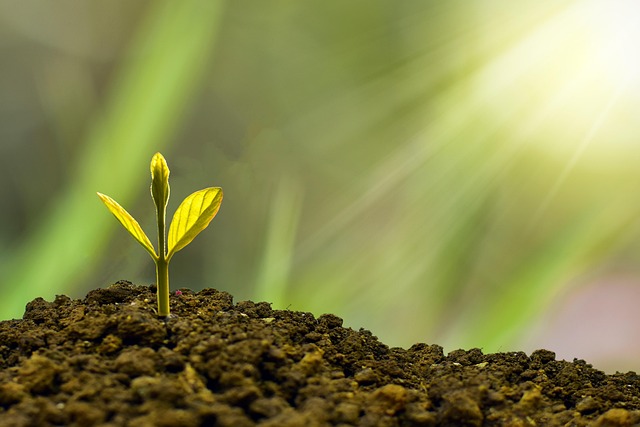 investment, finance, wealth management, portfolio