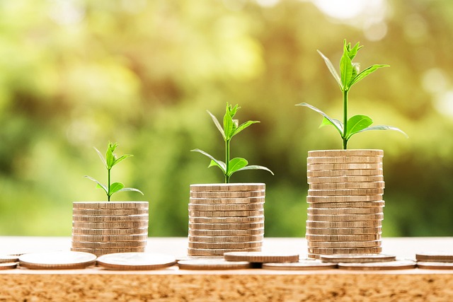 financiamiento, préstamos personales, gastos inesperados, tasas de interés