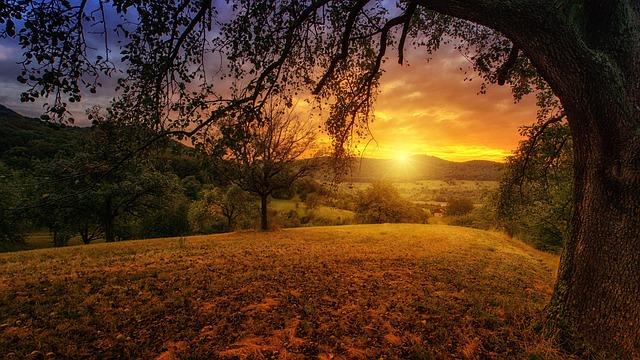 sustainable agriculture, culturable wasteland, land conservation, farming practices