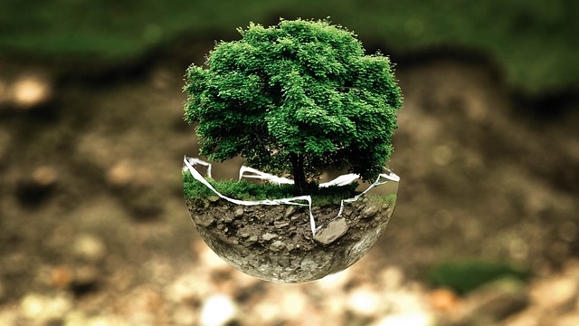 sustainability, greenhouse gases, emissions, carbon footprint