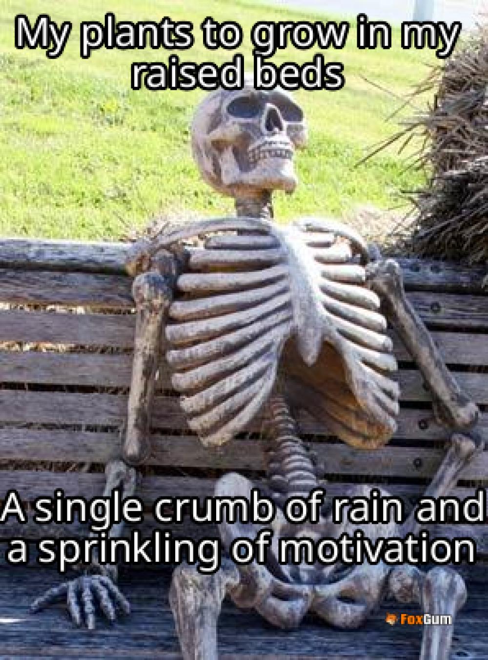 meme about gardening, low-maintenance, raised beds, easy vegetables