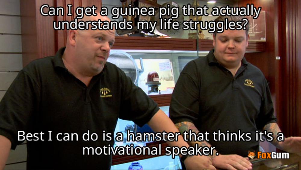 meme about pet care, small animals, companionship, bonding
