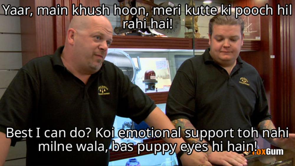 meme about खुशी, कुत्ते, पूंछ, शोध