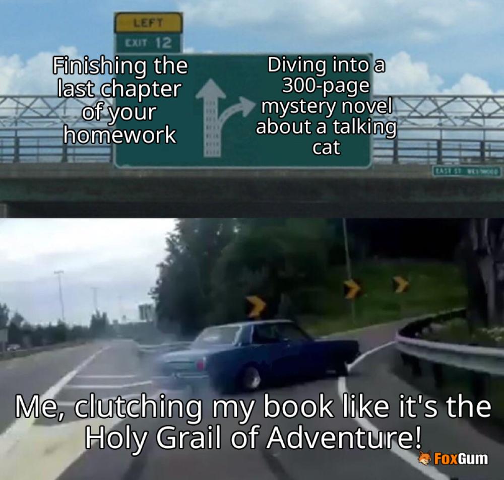 meme about adventure, mystery novels, suspense, young readers