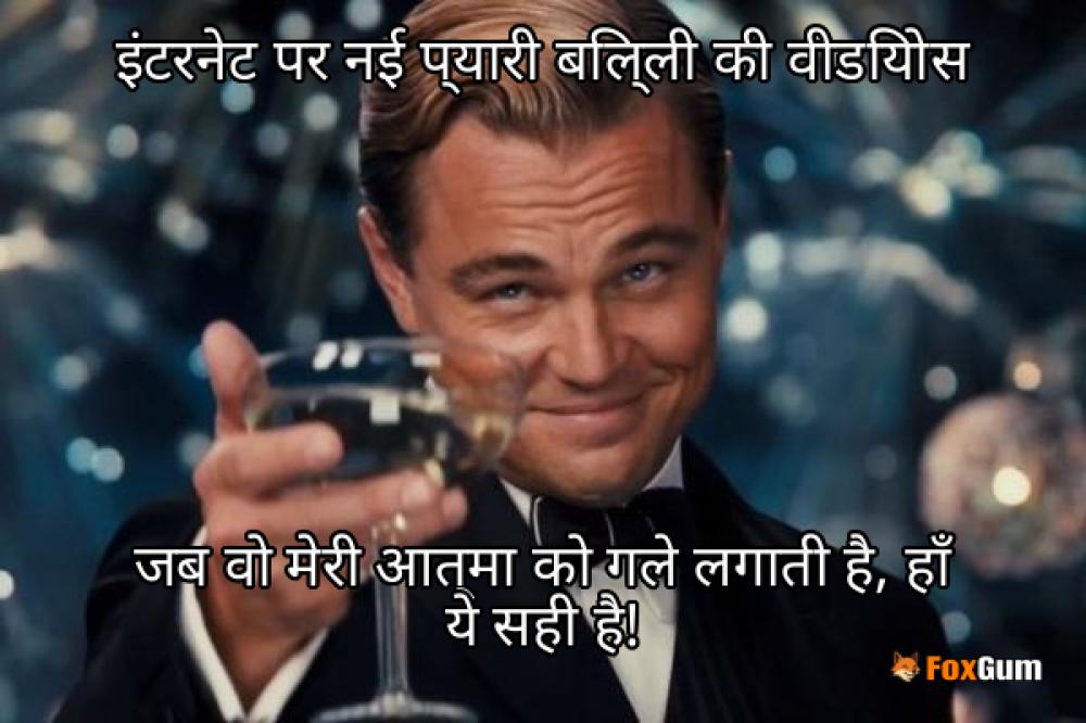 meme about वीडियो, बिल्ली, तस्वीरें, प्यारी