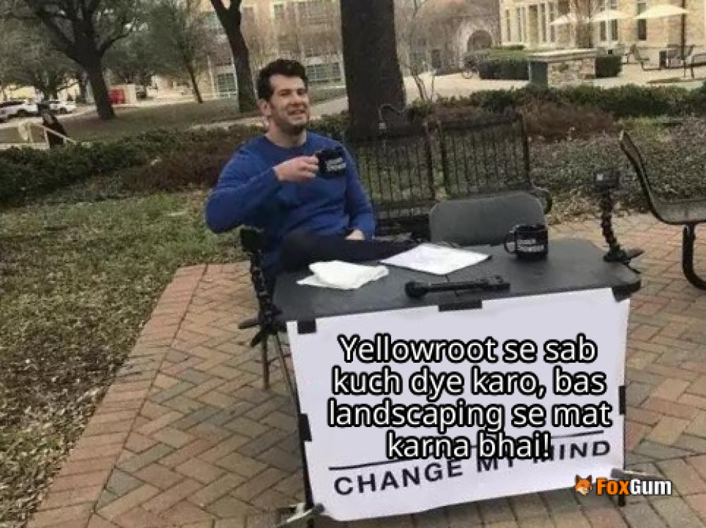 meme about landscaping, dye, yellowroot, wetland