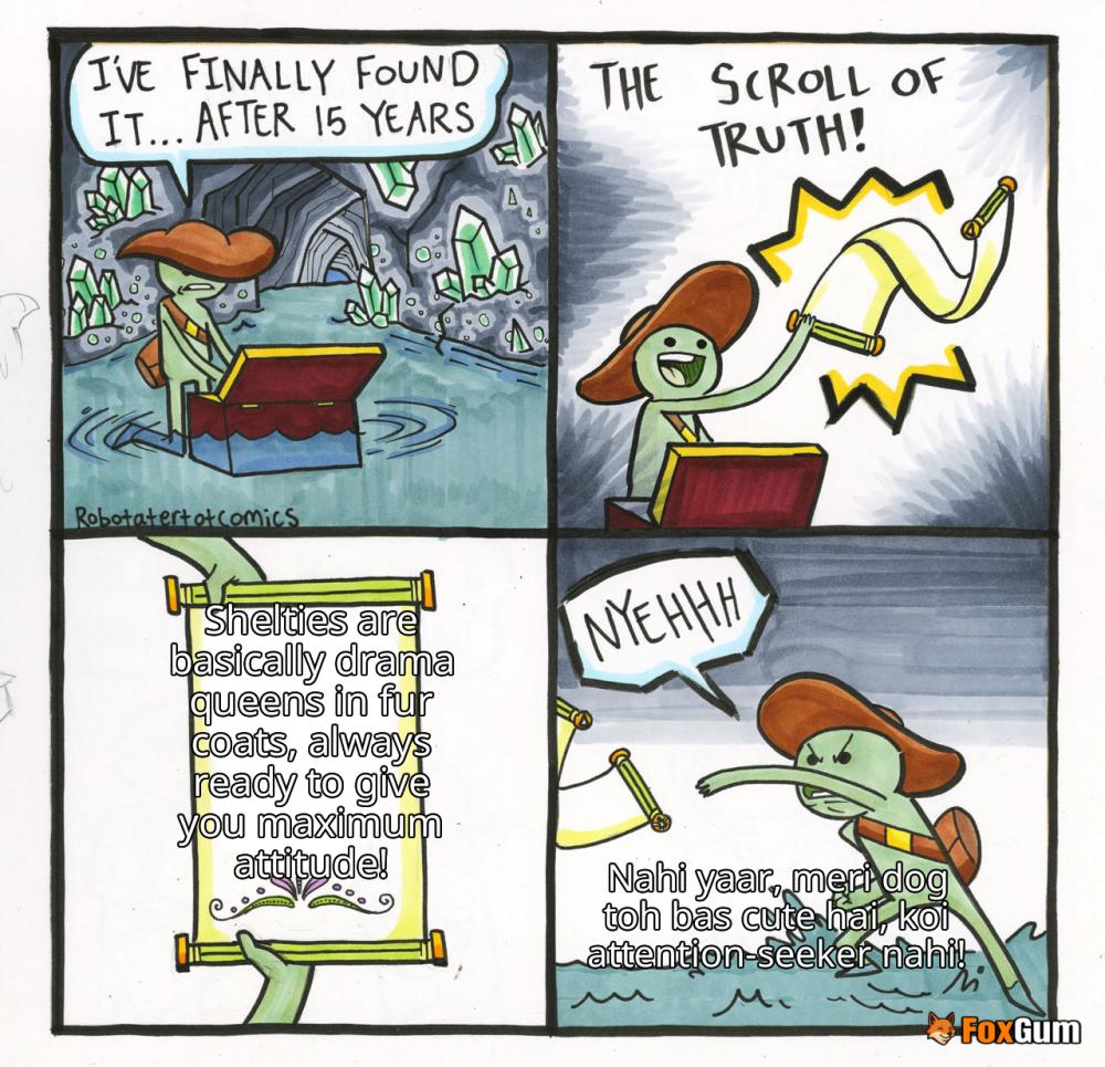 meme about pet care, dog breed, Shetland Sheepdog, Sheltie