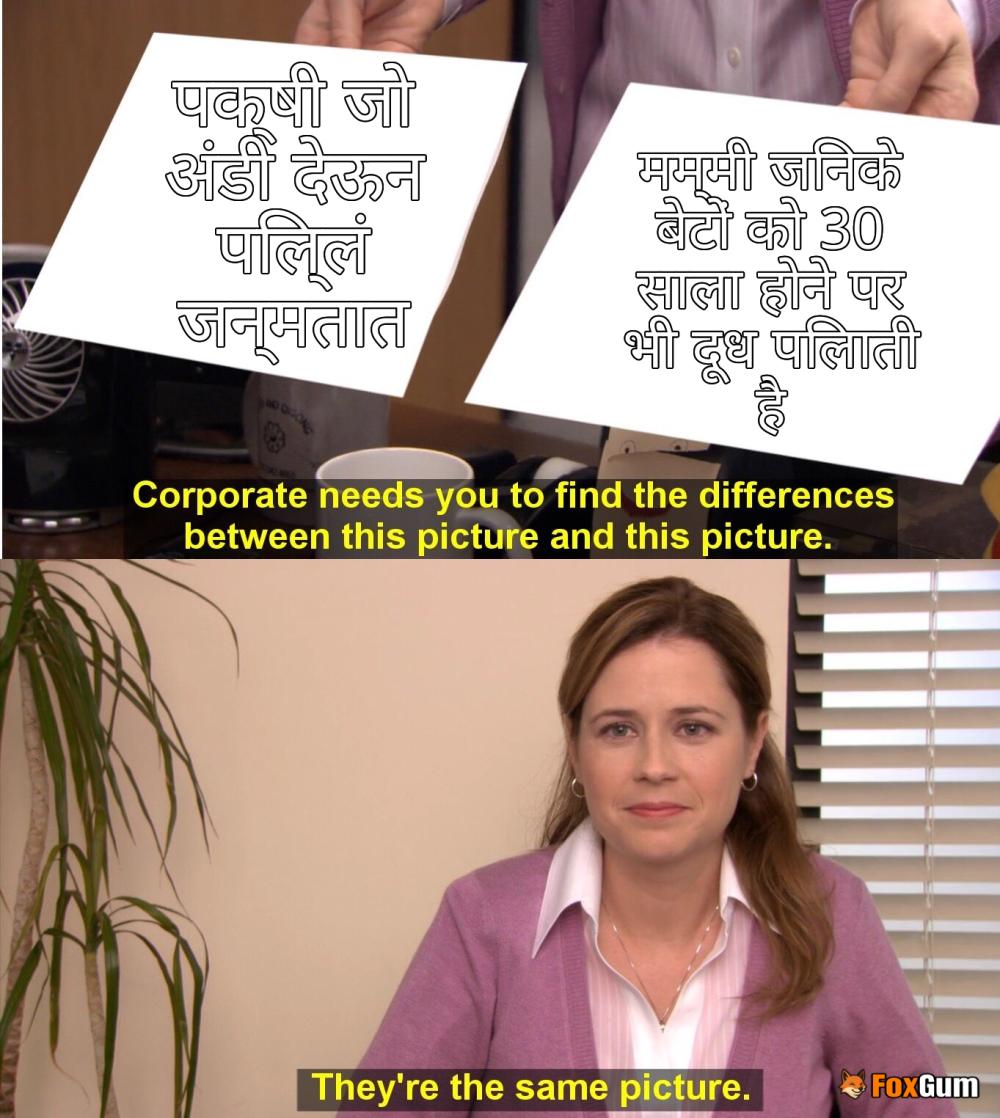 meme about विज्ञान, पक्षी, अंडी, पिल्ले