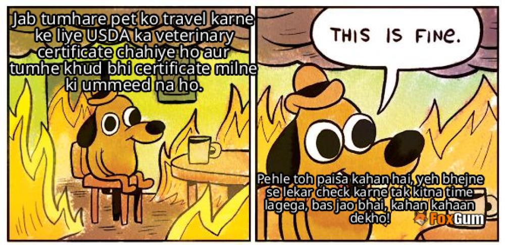 meme about USDA, veterinary certificate, pet travel, health certificate