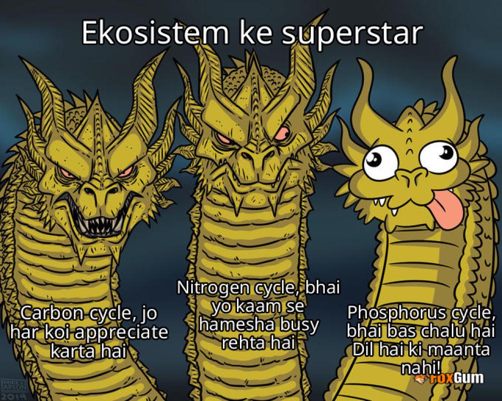 meme about ekosistem, biogeokimia, siklus, unsur