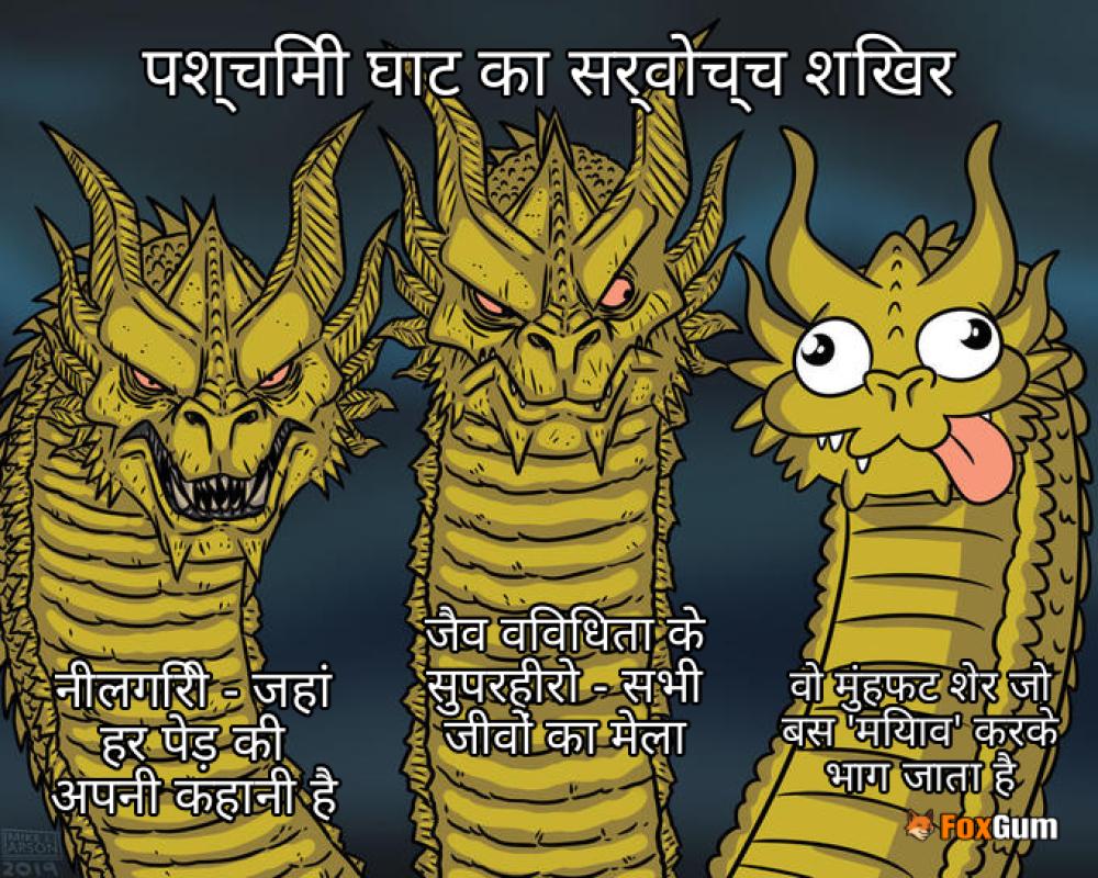 meme about पश्चिमी घाट, शिखर, नीलगिरी, जैव विविधता