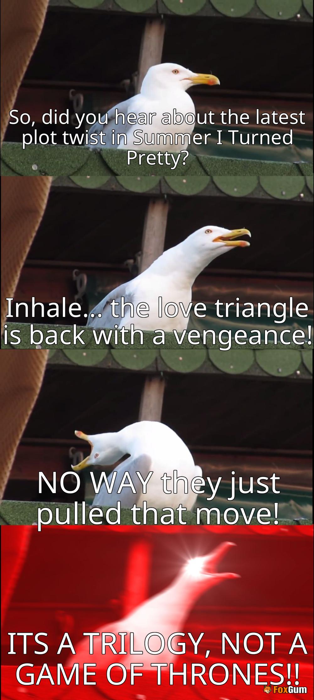 meme about romance, spoilers, Summer I Turned Pretty, trilogy