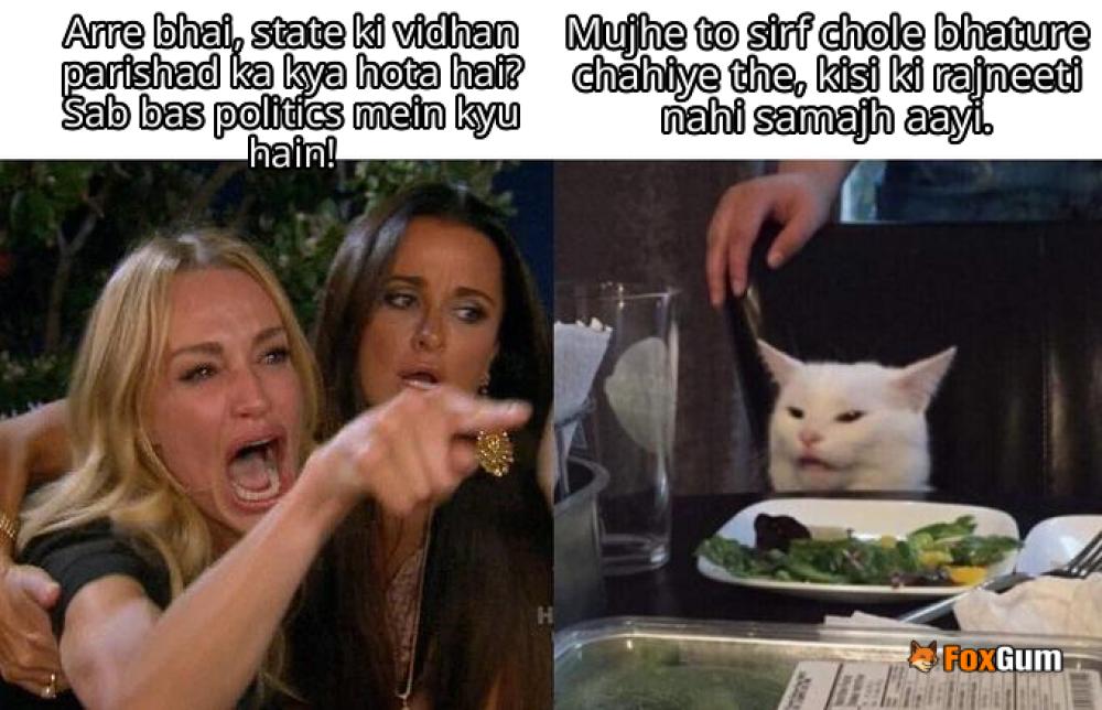 meme about ભારત, રાજકીય, વિધાન પરિષદ, રાજ્ય