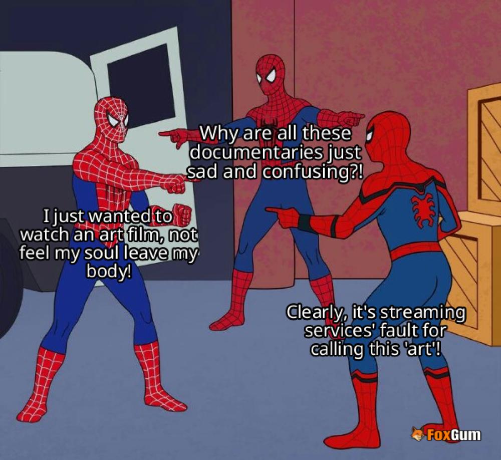 meme about streaming, cinema, art films, documentaries