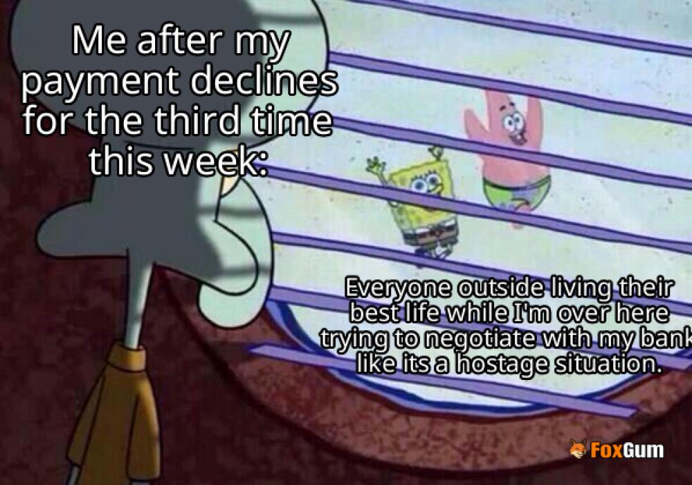 meme about transaction failure, payment processing, payment decline, fraud prevention