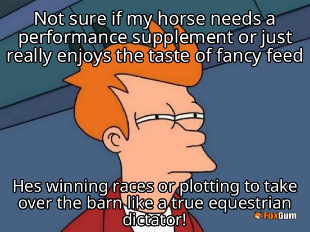 meme about horse care, equine health, performance supplements, equine products