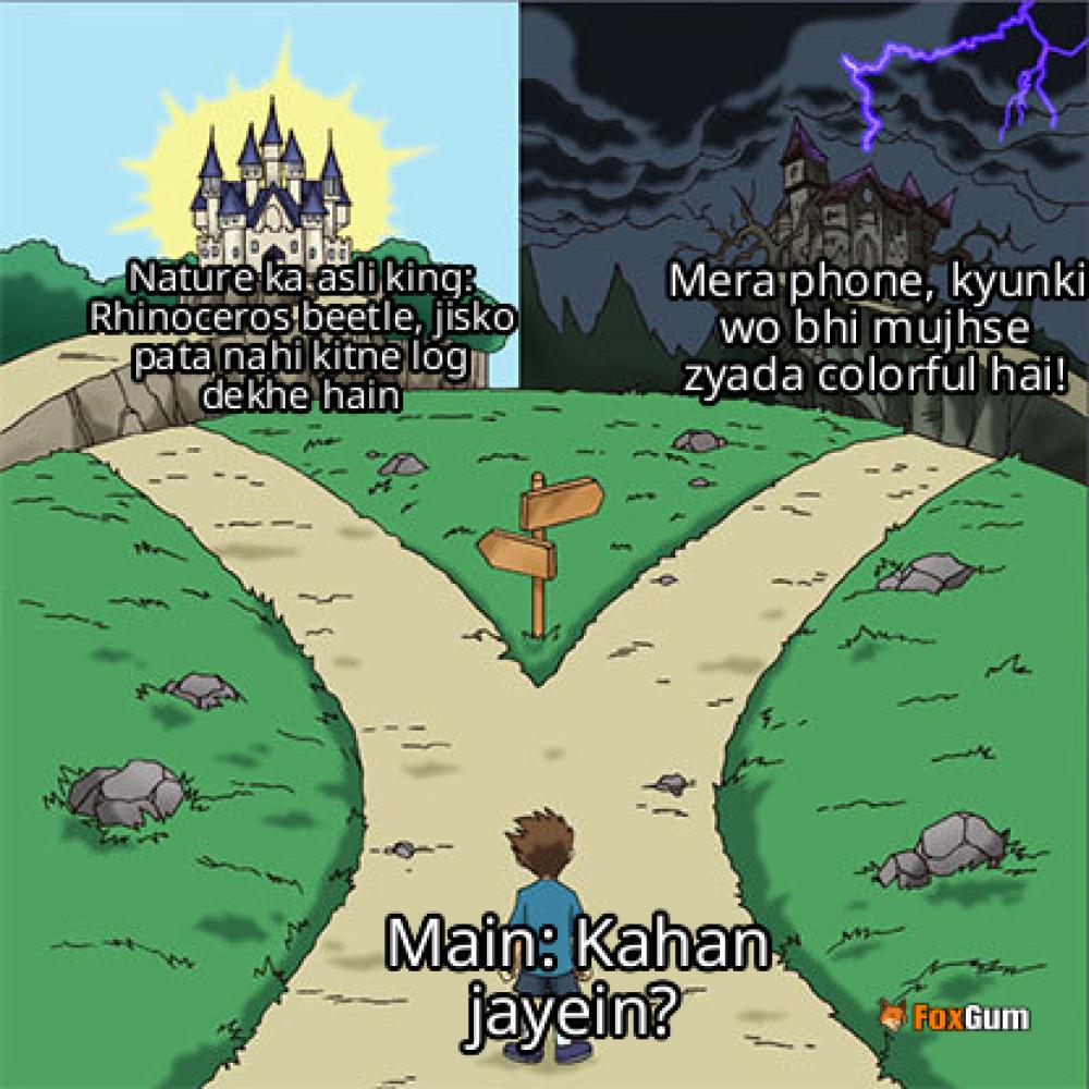 meme about nature, biodiversity, insects, rhinoceros beetle