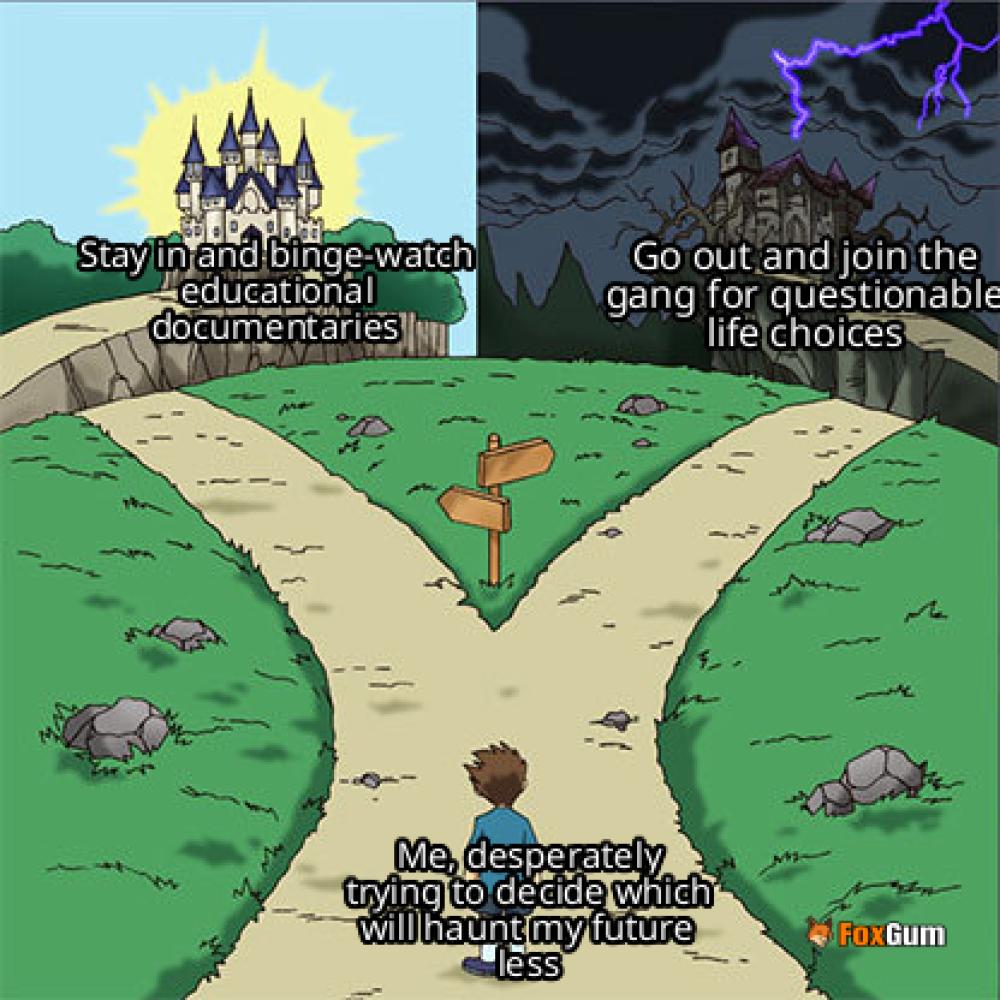 meme about peer pressure, adolescence, social behavior, conformity