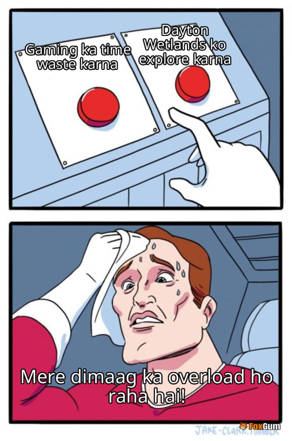 meme about gaming, resources, Dayton Wetlands, Once Human