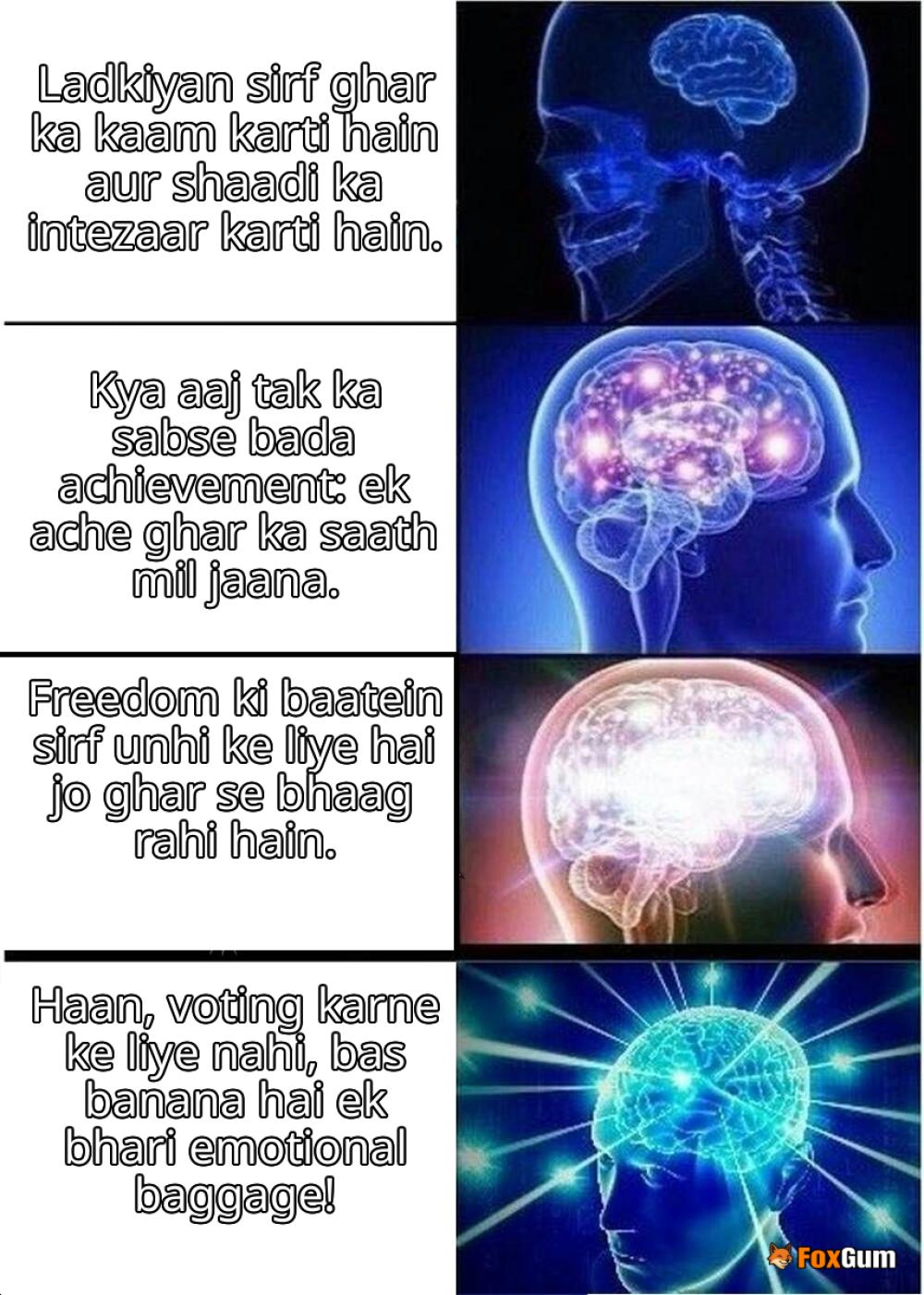 meme about women, 19th century, societal expectations, suffrage
