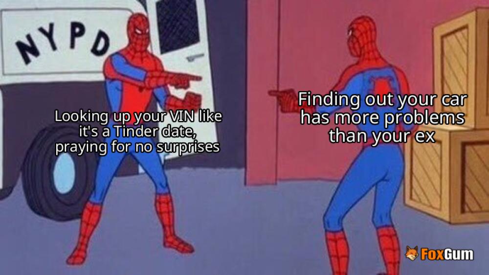 meme about VIN, vehicle identification, car details, free lookup