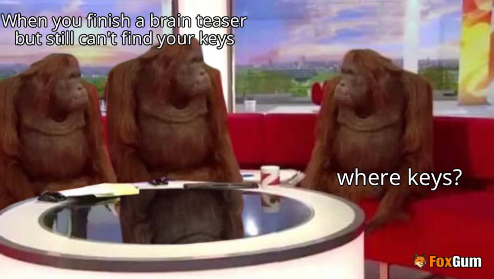 meme about puzzles, classic games, brain teasers, casse-tete